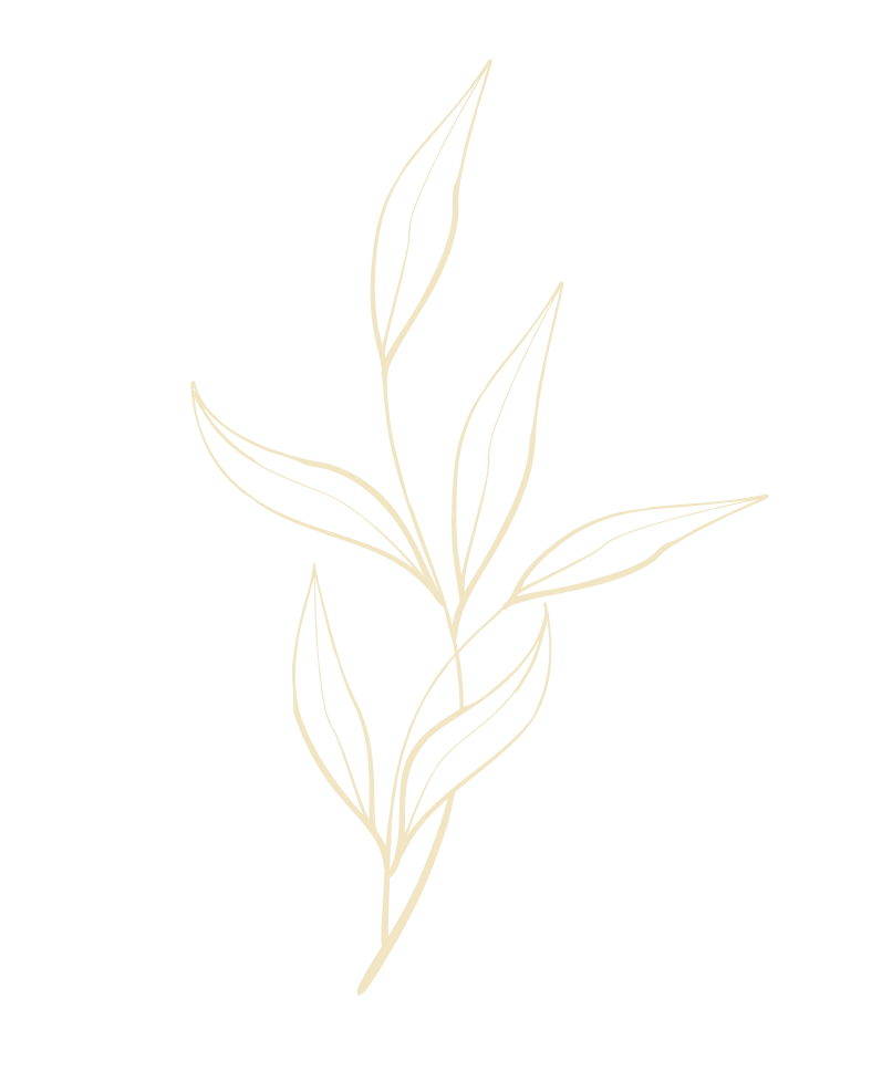Safe Harbor Gold Leaf Accent Gold botanical leaf illustration.